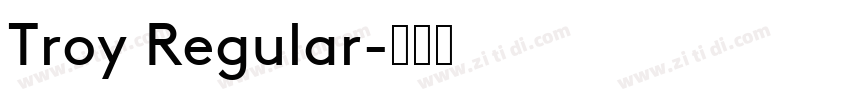 Troy Regular字体转换